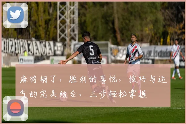 麻将胡了，胜利的喜悦，技巧与运气的完美结合，三步轻松掌握