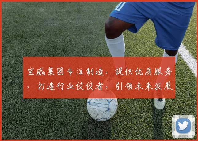 宝威集团专注制造，提供优质服务，打造行业佼佼者，引领未来发展，两大产业齐飞。