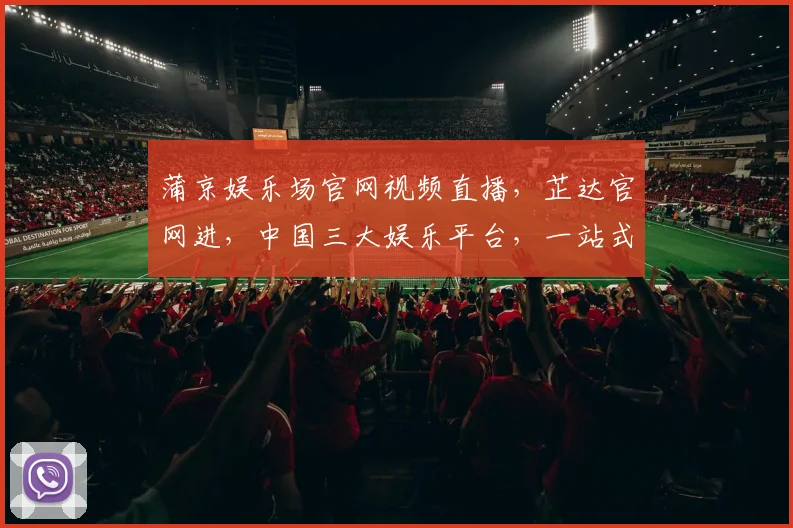 蒲京娱乐场官网视频直播，芷达官网进，中国三大娱乐平台，一站式娱乐体验，不容错过