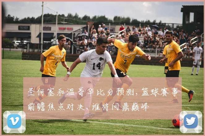 圣何塞和温哥华比分预测,篮球赛事前瞻焦点对决,谁将问鼎巅峰